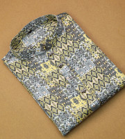 JM5.INDIAN DIGITAL PRINT PANJABI-22